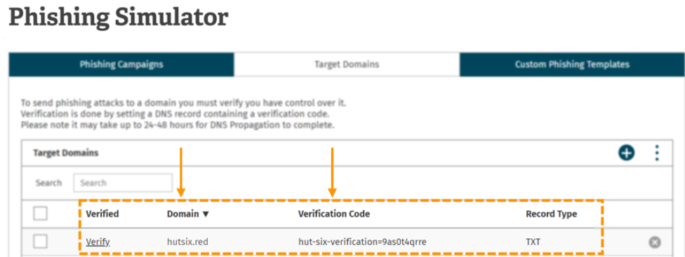 Screenshot of target domain verification code