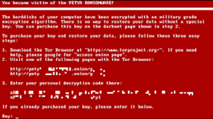 Lockscreen of the Petya Ransomware
