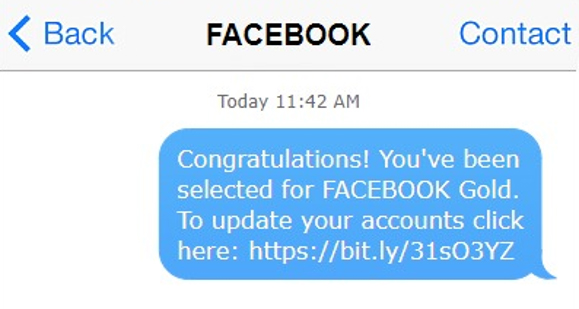 Phishing text targeting your facebook profile